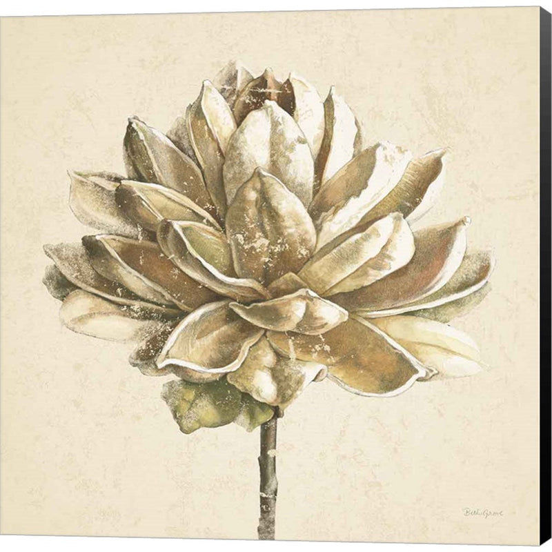 Seed Pod I No Words Cream by Beth Grove, Canvas Art