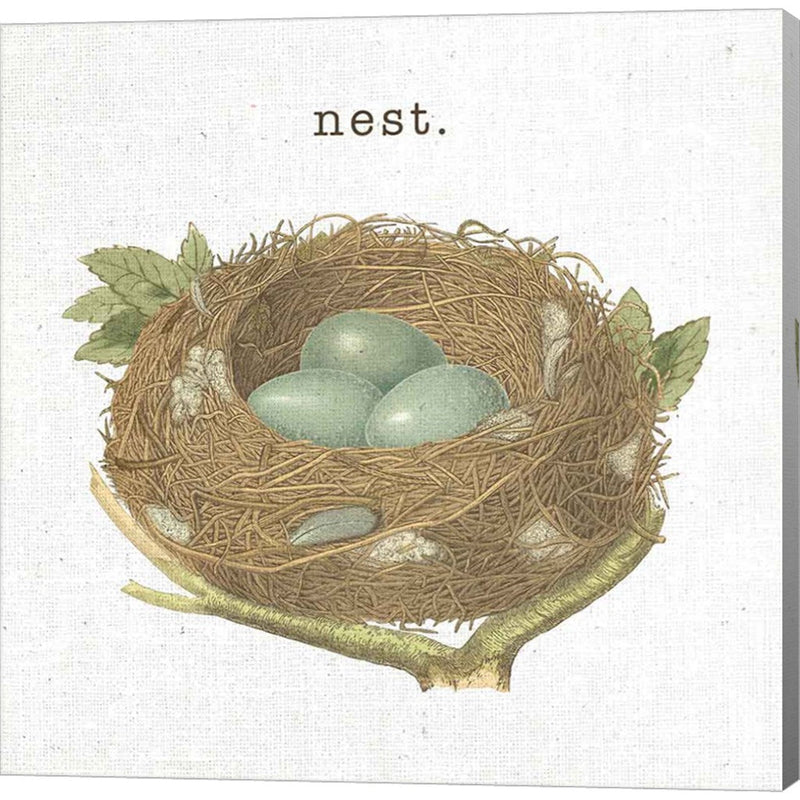 Spring Nest III Nest by Moira Hershey, Canvas Art