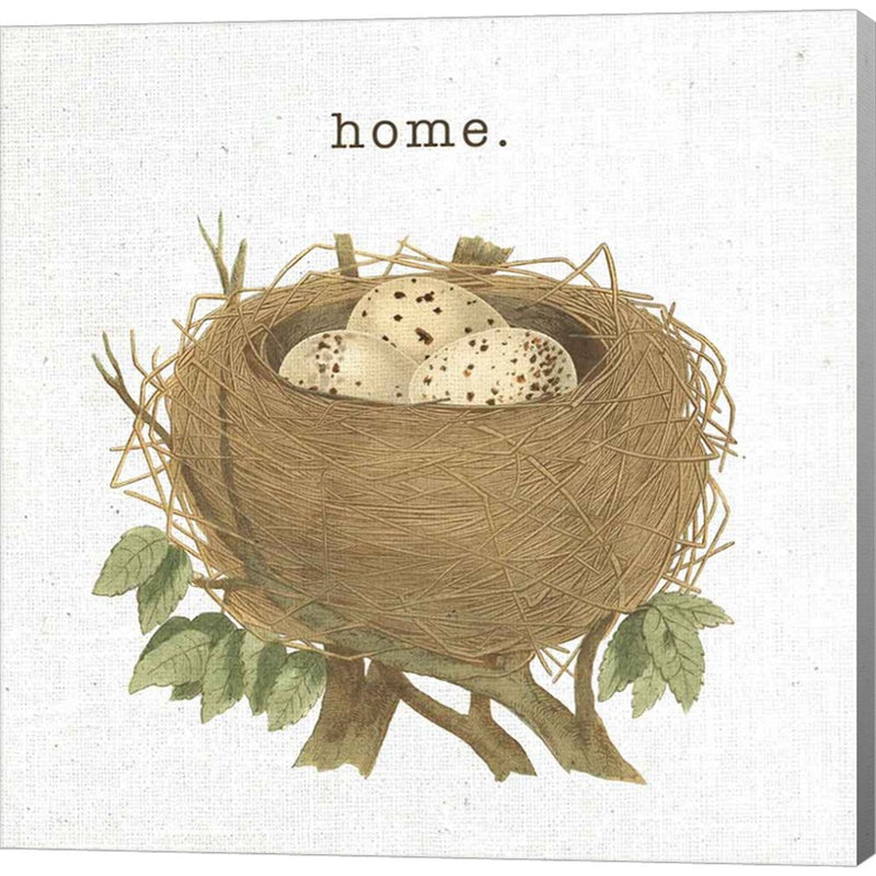 Spring Nest II Home by Moira Hershey, Canvas Art