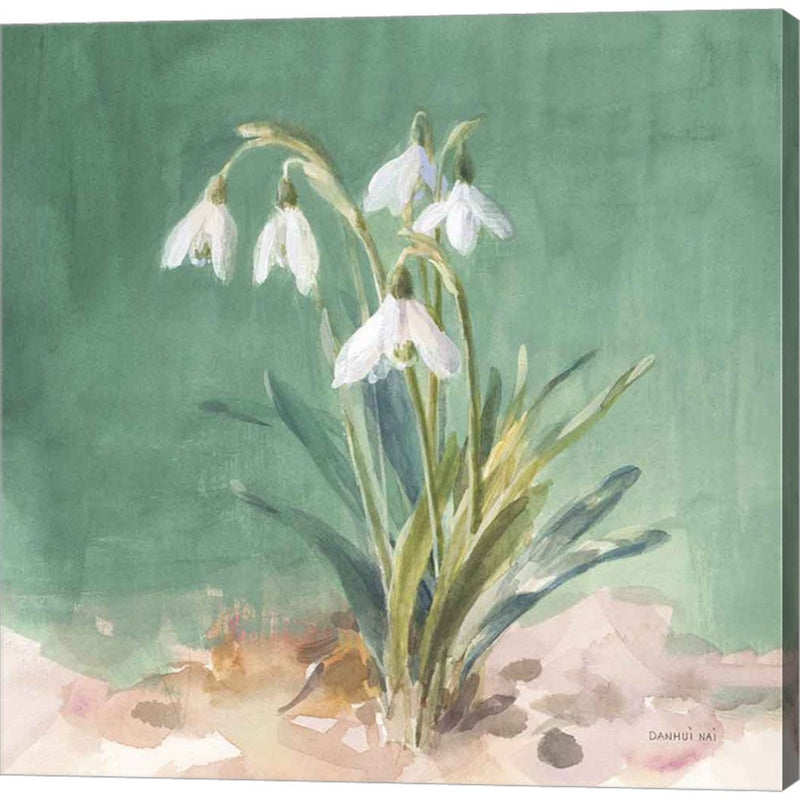 Soft Dewdrops by Danhui Nai, Canvas Art