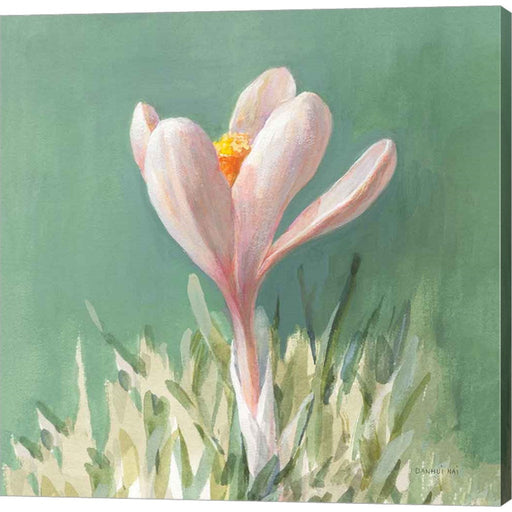 Soft Crocus by Danhui Nai, Canvas Art