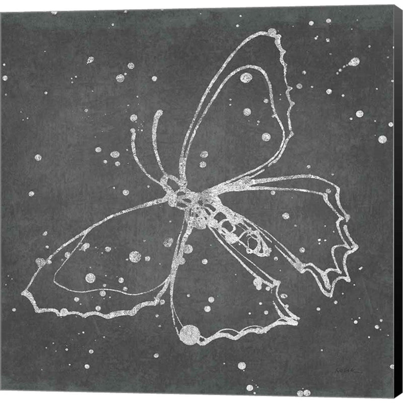 Silver Wings II by Shirley Novak, Canvas Art