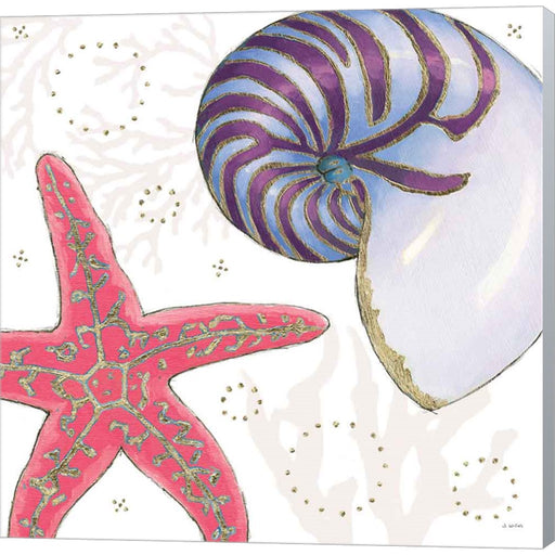 Shimmering Shells II by James Wiens, Canvas Art