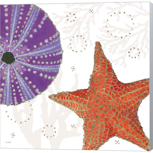 Shimmering Shells III by James Wiens, Canvas Art