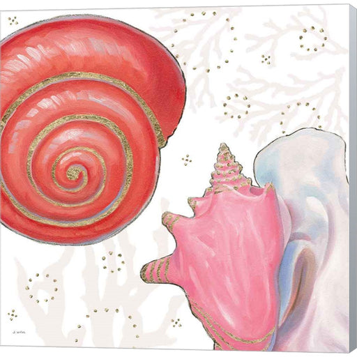 Shimmering Shells IV by James Wiens, Canvas Art