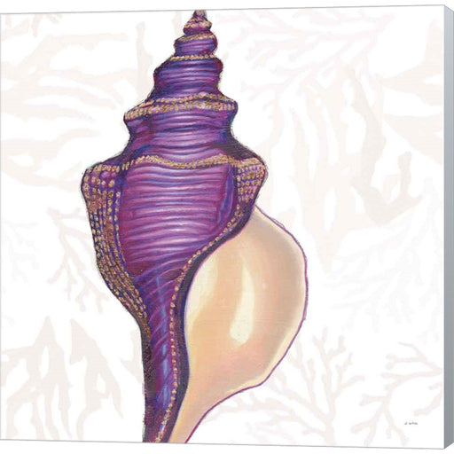 Shimmering Shells IX by James Wiens, Canvas Art