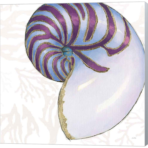 Shimmering Shells VI by James Wiens, Canvas Art