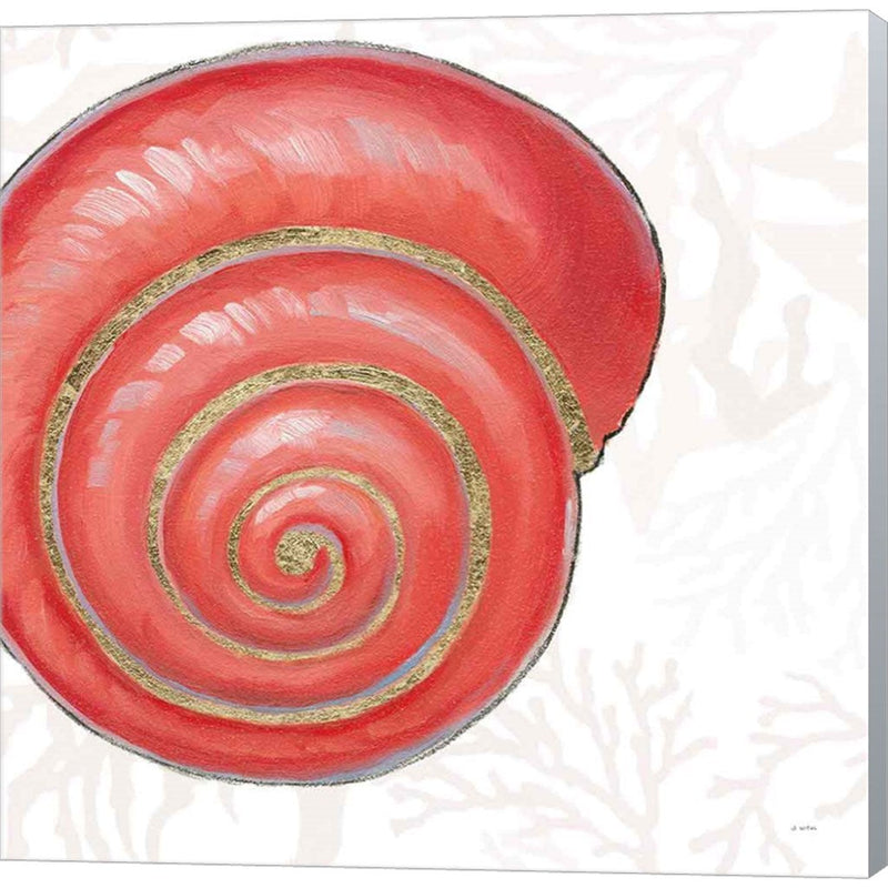 Shimmering Shells VII by James Wiens, Canvas Art