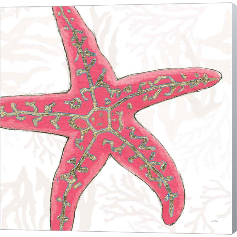 Shimmering Shells VIII by James Wiens, Canvas Art