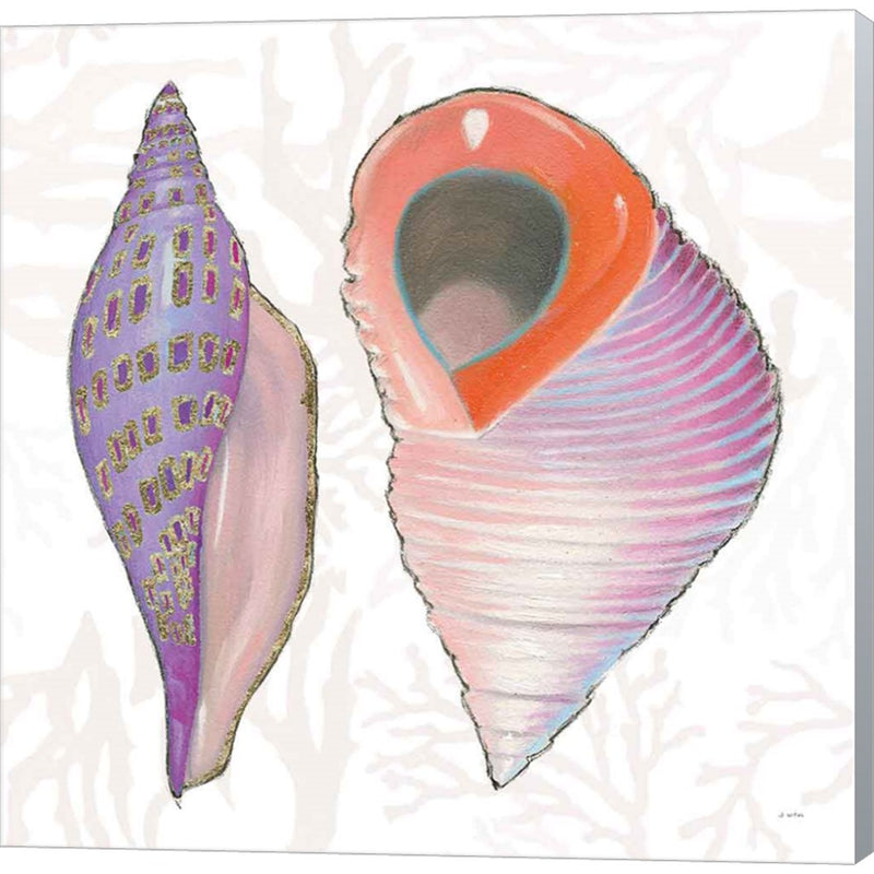 Shimmering Shells X by James Wiens, Canvas Art