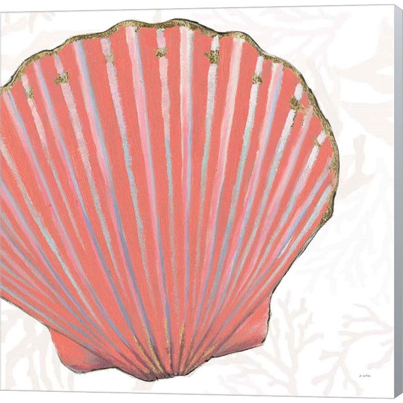 Shimmering Shells XI by James Wiens, Canvas Art