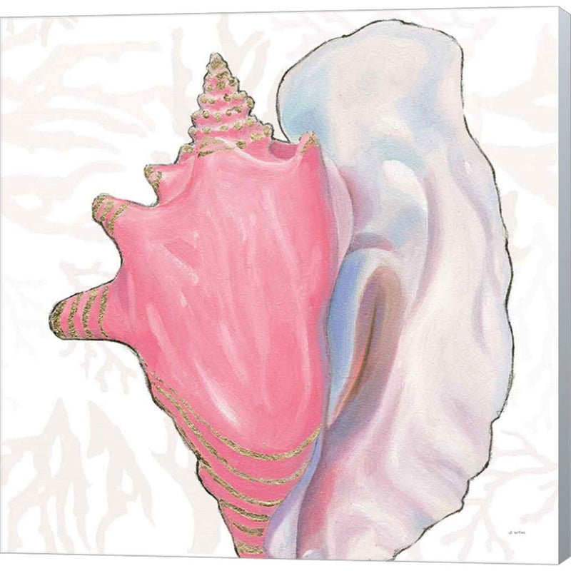 Shimmering Shells XII by James Wiens, Canvas Art