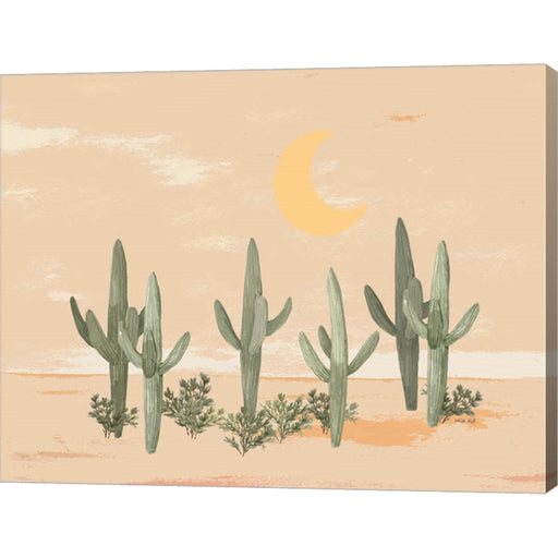 Desert Moon II by Cindy Jacobs, Canvas Art