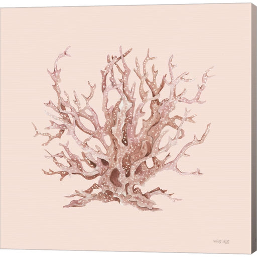 Pink Coral I by Cindy Jacobs, Canvas Art