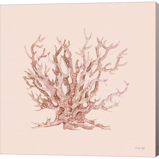 Pink Coral II by Cindy Jacobs, Canvas Art
