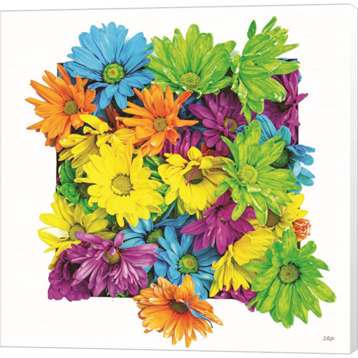 Floral Pop I by Donnie Quillen, Canvas Art