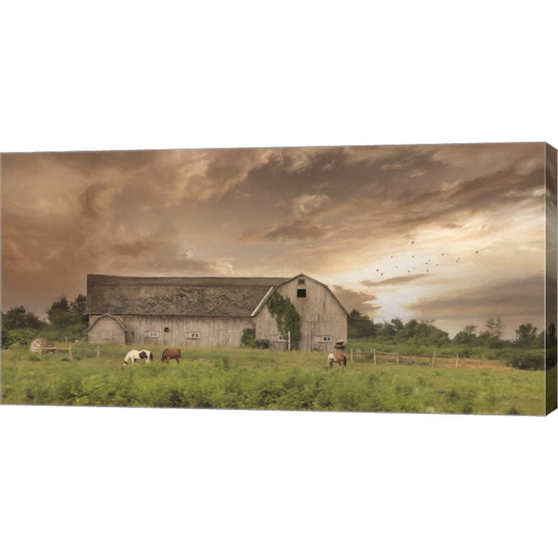 Sunset Grazing by Lori Deiter, Canvas Art