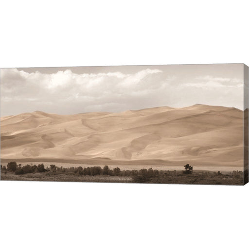 The Great Sand Dunes by Lori Deiter, Canvas Art