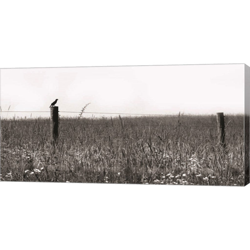 Country Field by Lori Deiter, Canvas Art