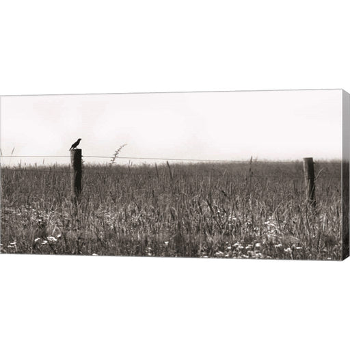 Country Field by Lori Deiter, Canvas Art
