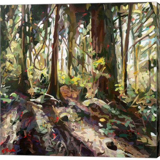 Cedar Shadows by Joanne Hastie, Canvas Art