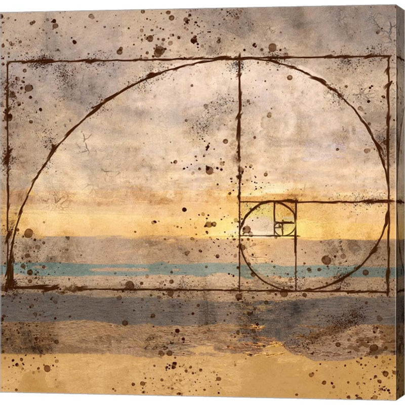 Fibonacci Shell by Marta Wiley, Canvas Art