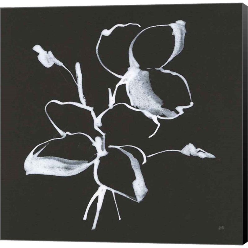 Wildflowers IV by Chris Paschke, Canvas Art