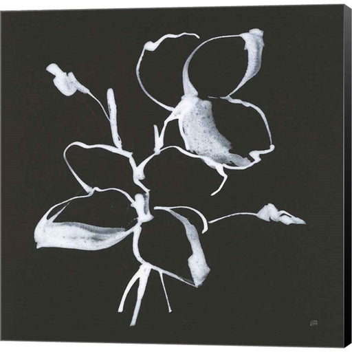 Wildflowers IV by Chris Paschke, Canvas Art