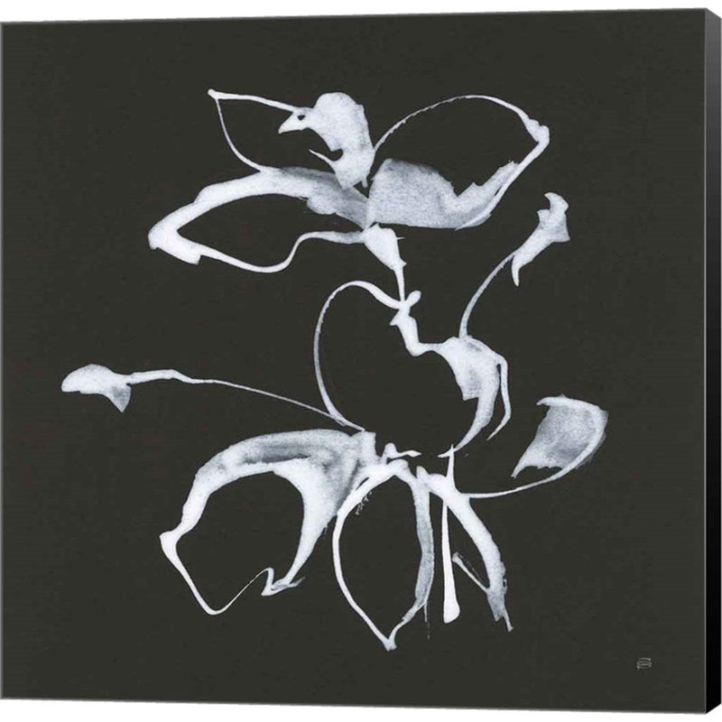 Wildflowers III by Chris Paschke, Canvas Art