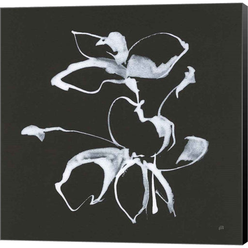Wildflowers III by Chris Paschke, Canvas Art