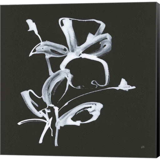 Wildflowers II by Chris Paschke, Canvas Art