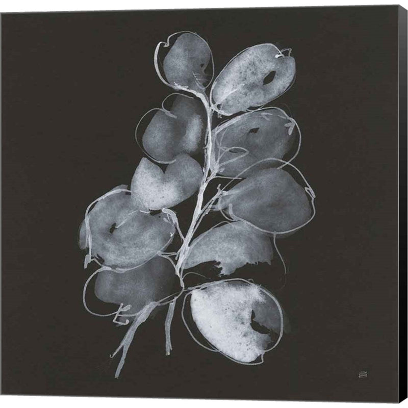 White Eucalyptus II by Chris Paschke, Canvas Art