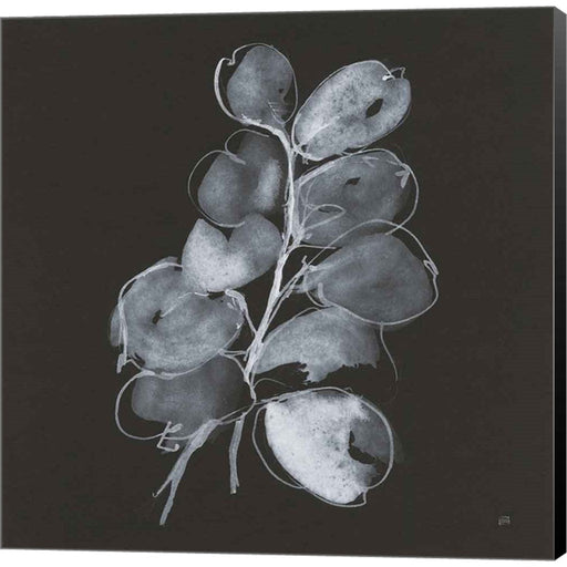 White Eucalyptus II by Chris Paschke, Canvas Art