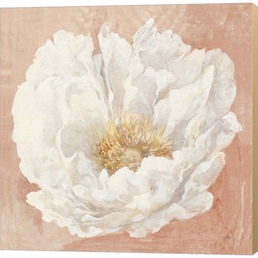 Serene Peony Terracotta by Julia Purinton, Canvas Art
