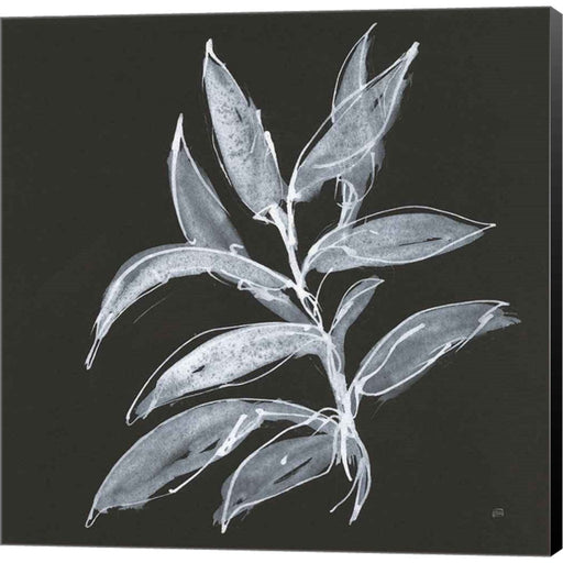 Branch IV by Chris Paschke, Canvas Art