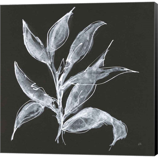 Branch III by Chris Paschke, Canvas Art