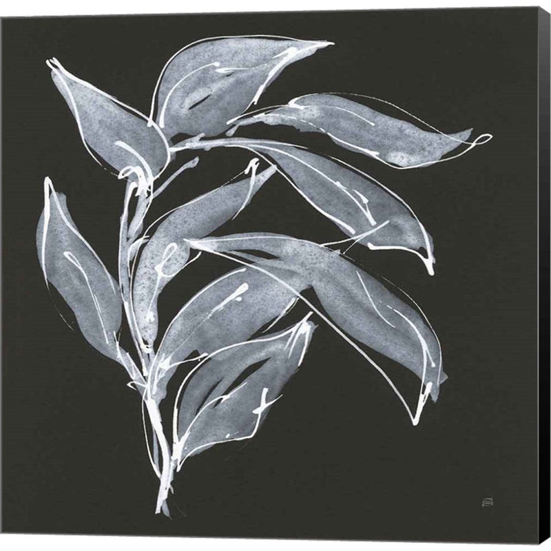 Branch I by Chris Paschke, Canvas Art