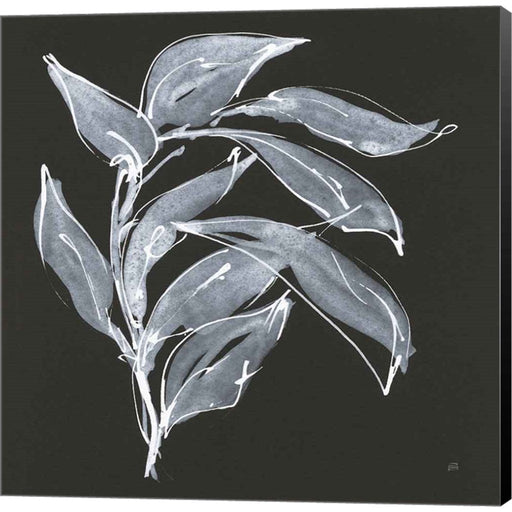 Branch I by Chris Paschke, Canvas Art