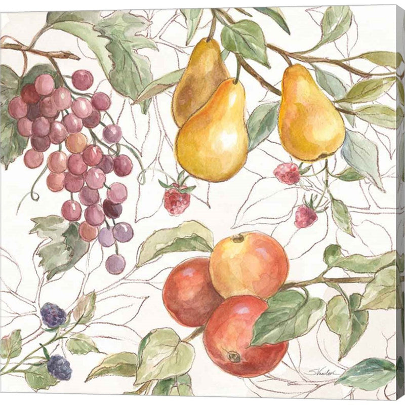 In the Orchard VII by Silvia Vassileva, Canvas Art