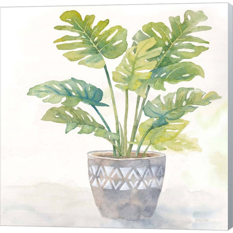 Houseplant III-Split Leaf Philodendron by Cynthia Coulter, Canvas Art