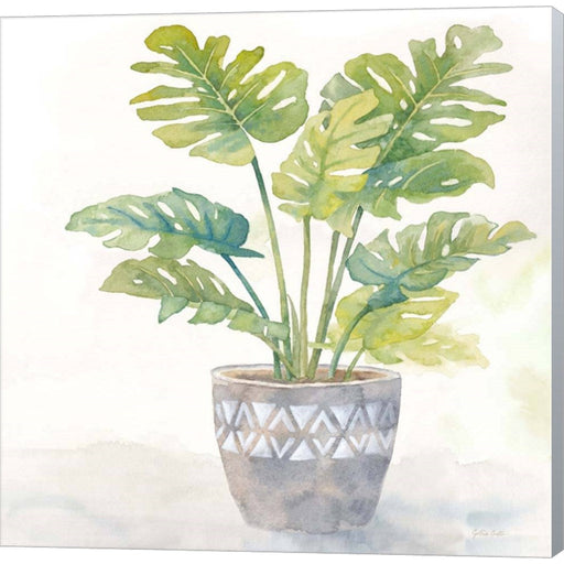 Houseplant III-Split Leaf Philodendron by Cynthia Coulter, Canvas Art