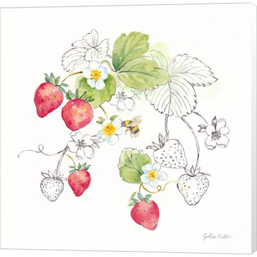Berries and Bees II by Cynthia Coulter, Canvas Art