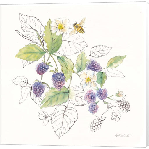 Berries and Bees III by Cynthia Coulter, Canvas Art