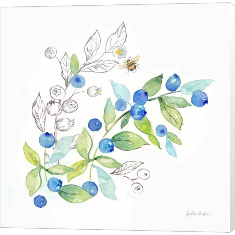 Berries and Bees IV by Cynthia Coulter, Canvas Art