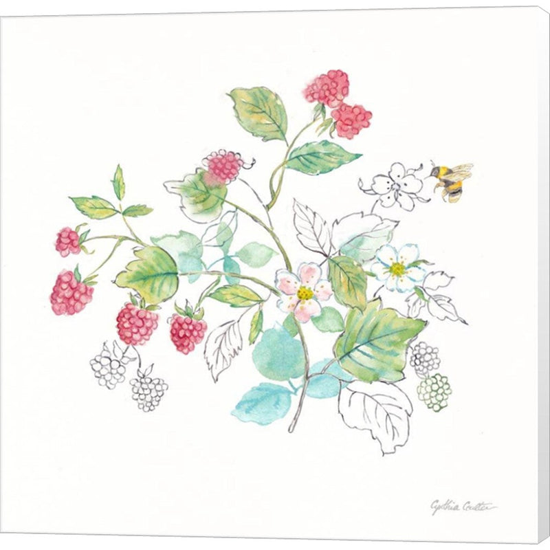 Berries and Bees V by Cynthia Coulter, Canvas Art