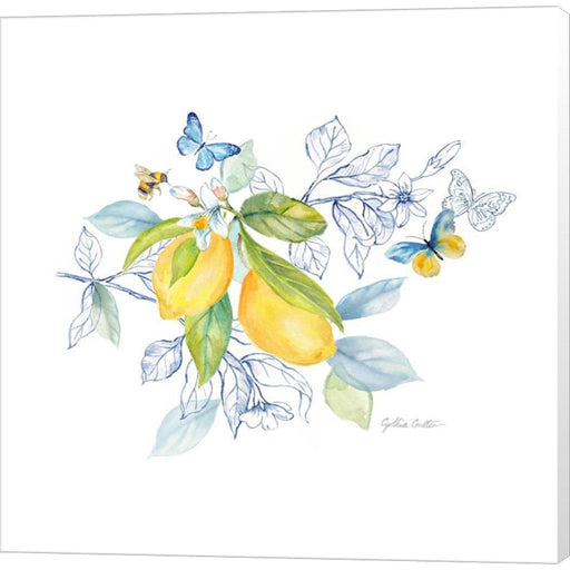 Lemon Sketch Book II by Cynthia Coulter, Canvas Art