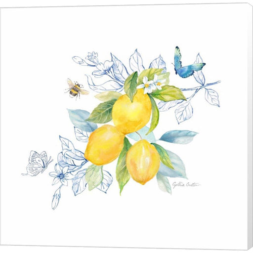 Lemon Sketch Book III by Cynthia Coulter, Canvas Art