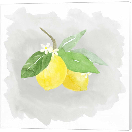 Life is Sweet III by Tara Reed, Canvas Art