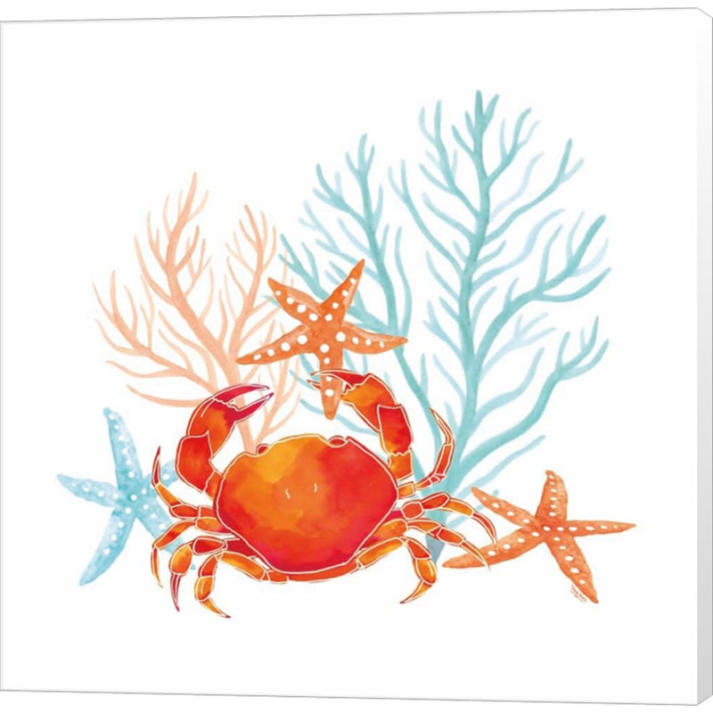 Coral Aqua VIII by Tara Reed, Canvas Art