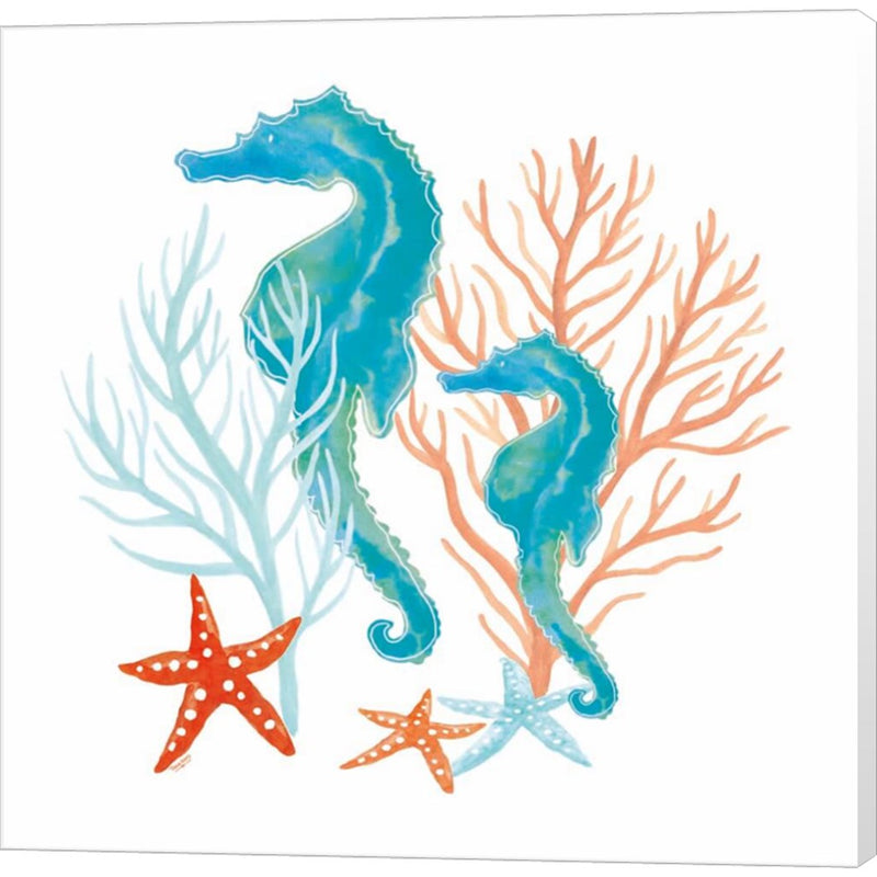 Coral Aqua XII by Tara Reed, Canvas Art